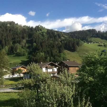 Kitzbuheler Alpen Penthouse Hollersbach Apartment Hollersbach im Pinzgau Exterior photo