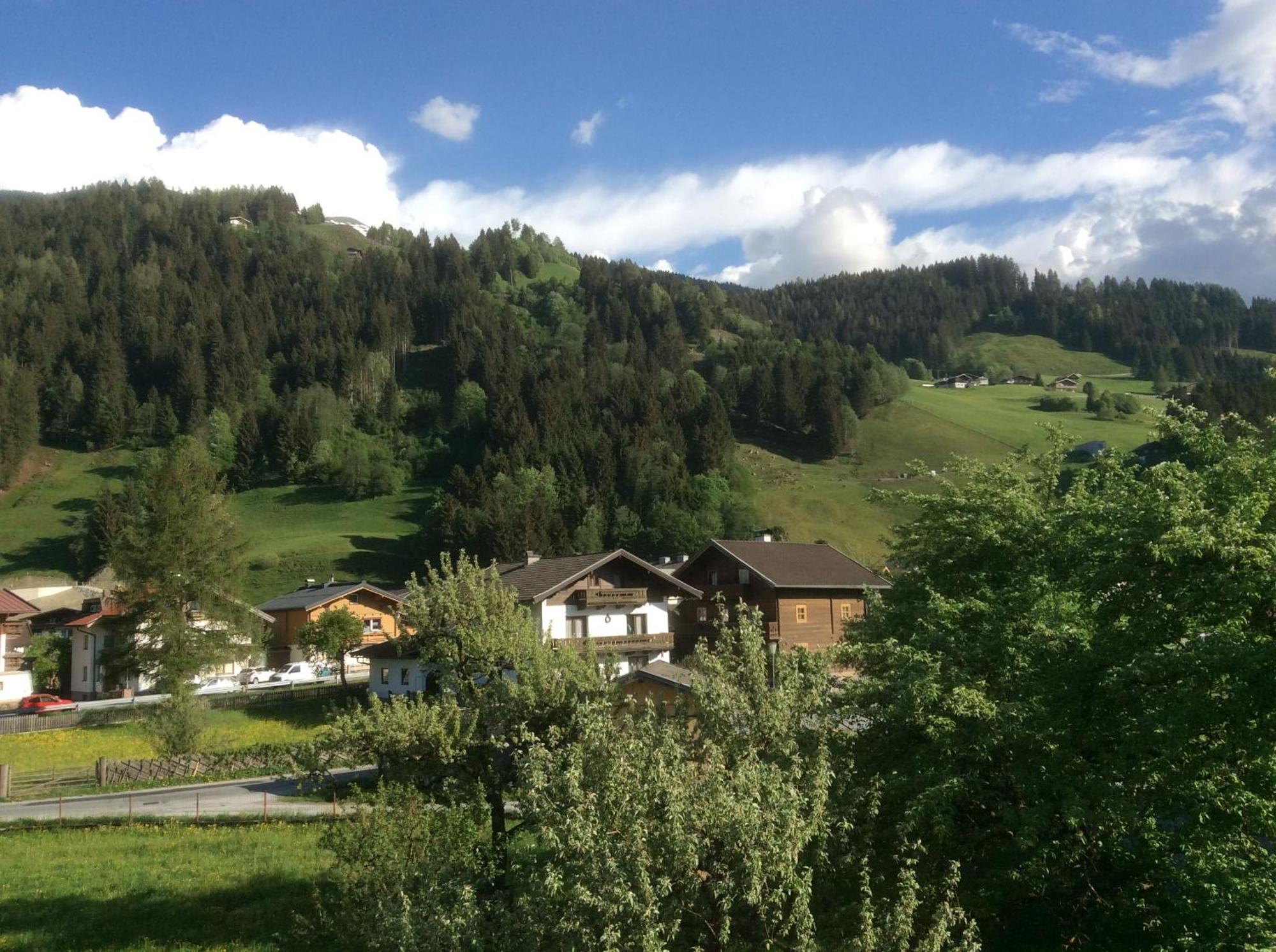 Kitzbuheler Alpen Penthouse Hollersbach Apartment Hollersbach im Pinzgau Exterior photo