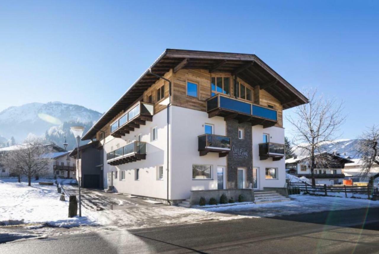 Kitzbuheler Alpen Penthouse Hollersbach Apartment Hollersbach im Pinzgau Exterior photo